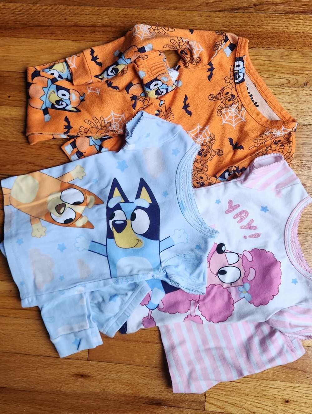 Bluey Pajamas 2T